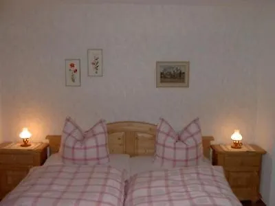 Daire Gaestehaus Lickert Sued Feldberg