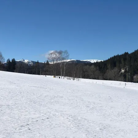 Daire Gaestehaus Lickert Sued Feldberg Hinterzarten