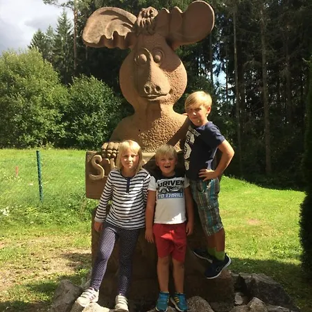 Gaestehaus Lickert Sued Feldberg