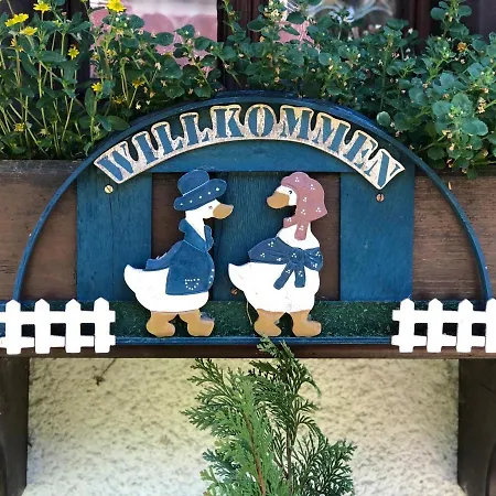 Gaestehaus Lickert Sued Feldberg Daire *